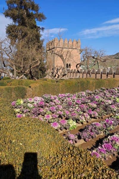 Visita a la Alhambra con niños