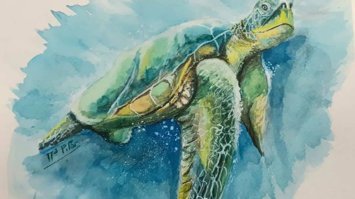 Kreártika | Dibujo y pintura para niños
